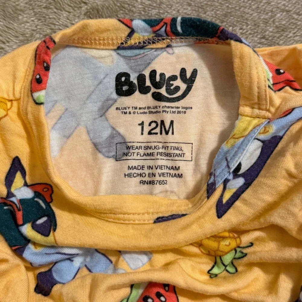 Bluey two piece